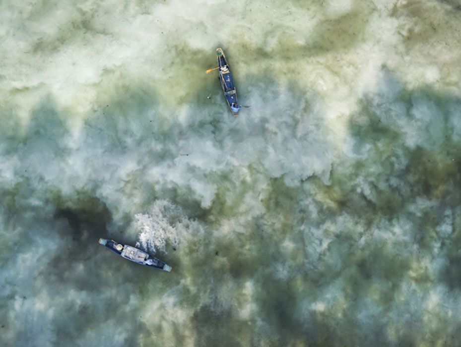水產(chǎn)養(yǎng)殖常用的清塘方法，你用過(guò)哪種？